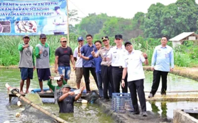 Pengembangan usaha budidaya ikan patin di Desa Margo Lestari, Kecamatan Jati Agung.