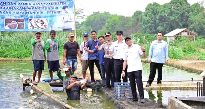Pengembangan usaha budidaya ikan patin di Desa Margo Lestari, Kecamatan Jati Agung.